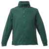 Variation picture for Bottle Green