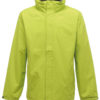 Variation picture for Key Lime/Seal Grey