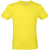 Variation picture for Solar Yellow