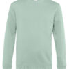 Variation picture for Aqua Green