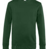 Variation picture for Bottle Green