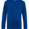 Variation picture for Royal Blue