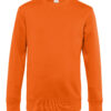 Variation picture for Pure Orange