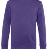 Variation picture for Radiant Purple