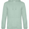 Variation picture for Aqua Green
