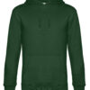 Variation picture for Bottle Green