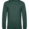 Variation picture for Heather Dark Green