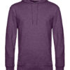 Variation picture for Heather Purple
