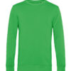 Variation picture for Apple Green
