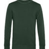 Variation picture for Forest Green