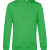 Variation picture for Apple Green