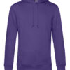 Variation picture for Radiant Purple