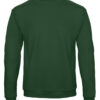 Variation picture for Bottle Green