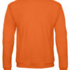 Variation picture for Pumpkin Orange