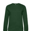 Variation picture for Bottle Green