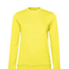 Variation picture for Solar Yellow