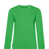 Variation picture for Apple Green