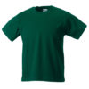 Variation picture for Bottle Green