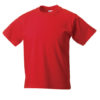 Variation picture for Bright Red