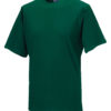 Variation picture for Bottle Green