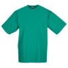 Variation picture for Winter Emerald