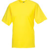 Variation picture for Yellow